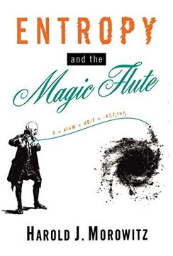 portada Entropy and the Magic Flute (in English)