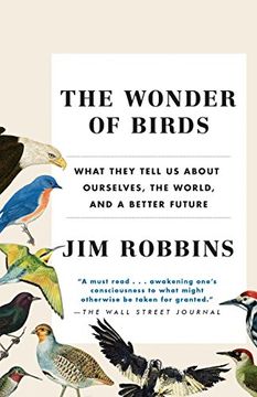 portada The Wonder of Birds: What They Tell us About Ourselves, the World, and a Better Future (in English)