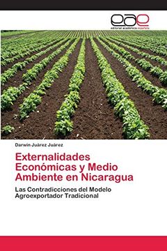 portada Externalidades Económicas y Medio Ambiente en Nicaragua