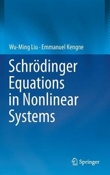 portada Schrödinger Equations in Nonlinear Systems (en Inglés)