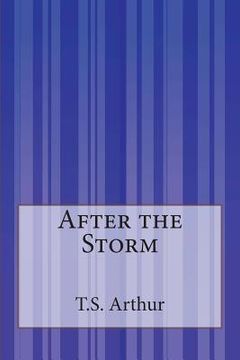 portada After the Storm (en Inglés)