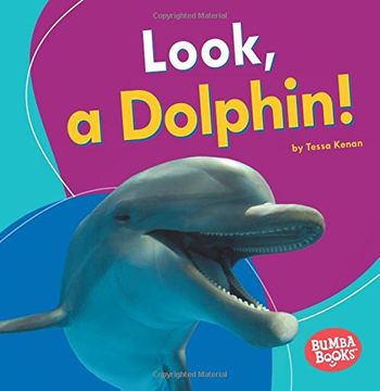 portada Look, a Dolphin! (Bumba Books: I See Ocean Animals)
