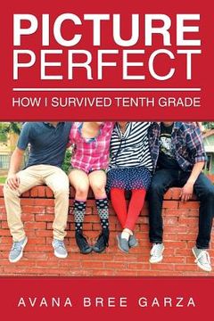 portada Picture Perfect: How I Survived Tenth Grade (en Inglés)