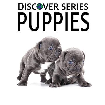 portada Puppies: Discover Series Picture Book for Children (en Inglés)