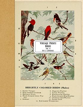 portada Vintage Prints: Birds: Vol. 4 (en Inglés)