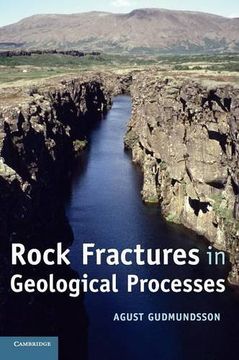 portada Rock Fractures in Geological Processes (en Inglés)