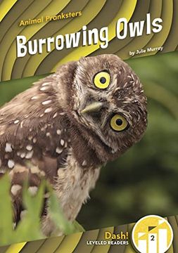 portada Burrowing Owls (en Inglés)
