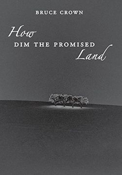 portada How dim the Promised Land (en Inglés)
