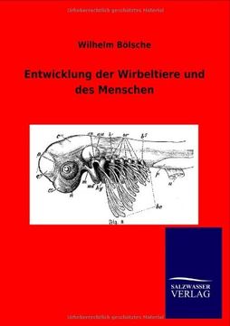 portada Entwicklung der Wirbeltiere und des Menschen (German Edition)