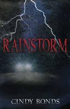 portada Rainstorm (en Inglés)