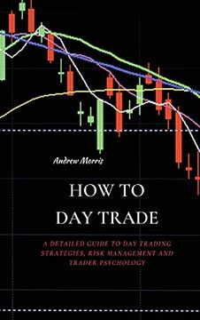 portada How to day Trade: A Detailed Guide to day Trading Strategies, Risk Management and Trader Psychology (en Inglés)