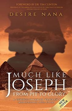 portada Much Like Joseph: From pit to Glory (en Inglés)
