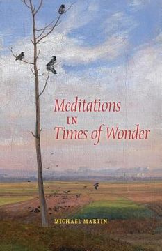 portada Meditations in Times of Wonder (en Inglés)
