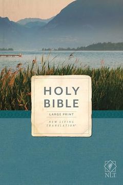 portada Holy Bible, Economy Outreach Edition, Large Print, NLT (Softcover)
