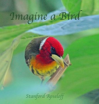 portada Imagine a Bird (en Inglés)