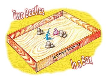 portada Two Beetles In a Box - Hardcover