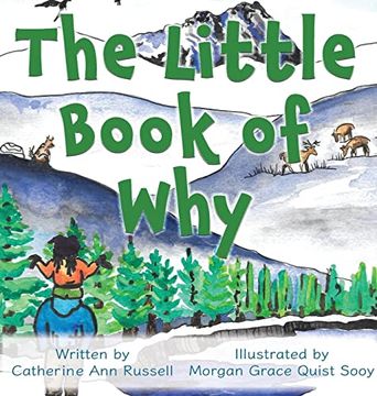 portada The Little Book of why (en Inglés)