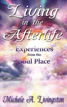 portada Living in the Afterlife - Experiences from the Soul Place