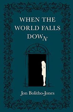 portada When the World Falls Down (en Inglés)