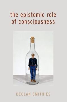portada The Epistemic Role of Consciousness (en Inglés)
