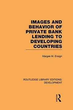portada Images and Behaviour of Private Bank Lending to Developing Countries (en Inglés)