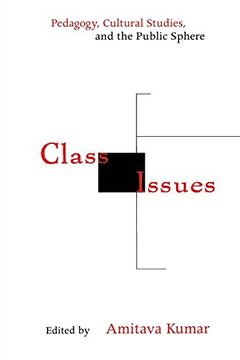 portada Class Issues: Pedagogy, Cultural Studies, and the Public Sphere (en Inglés)