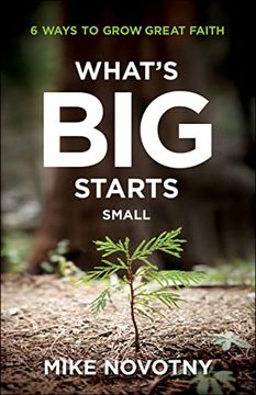 portada What's big Starts Small: 6 Ways to Grow Great Faith (in English)