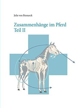 portada Zusammenhänge im Pferd Teil ii (in German)