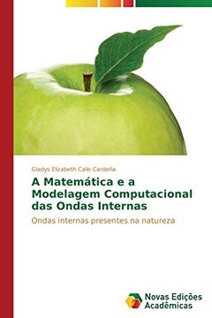portada A Matemática e a Modelagem Computacional das Ondas Internas