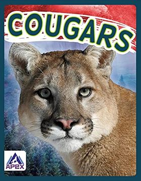 portada Wild Cats: Cougars (en Inglés)