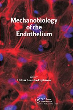 portada Mechanobiology of the Endothelium (en Inglés)
