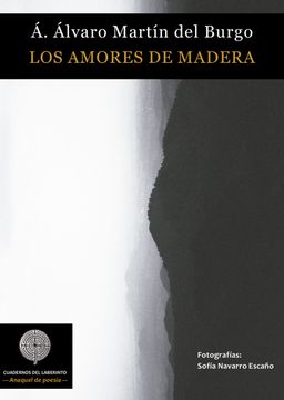 portada Los Amores de Madera (in Spanish)