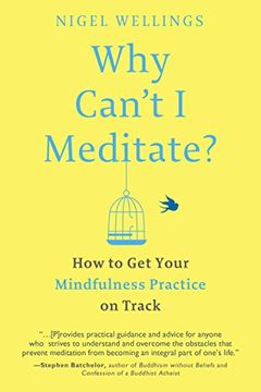portada Why Can't i Meditate? How to get Your Mindfulness Practice on Track (en Inglés)