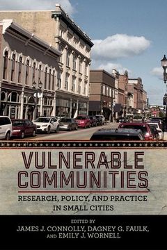 portada Vulnerable Communities: Research, Policy, and Practice in Small Cities (in English)
