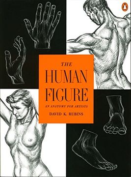 portada The Human Figure: An Anatomy for Artists (in English)