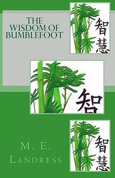 portada the wisdom of bumblefoot (en Inglés)