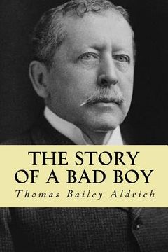 portada The story of a bad boy (en Inglés)