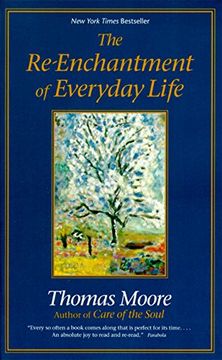 portada The Re-Enchantment of Everyday Life (in English)