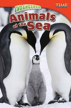 portada endangered animals of the sea (in English)