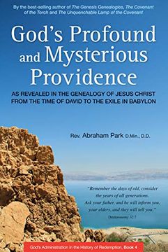portada God's Profound and Mysterious Providence: As Revealed in the Genealogy of Jesus Christ From the Time of David to the Exile in Babylon (Book 4) (History of Redemption) (in English)