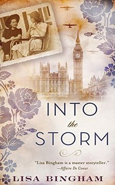 portada Into the Storm (in English)