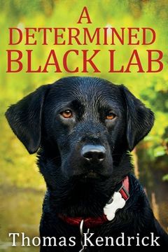 portada A Determined Black Lab (en Inglés)