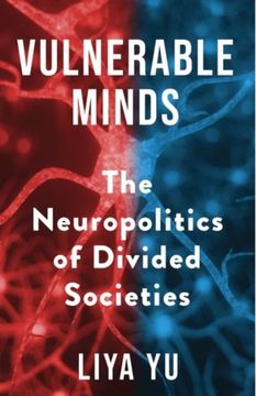 portada Vulnerable Minds: The Neuropolitics of Divided Societies (en Inglés)
