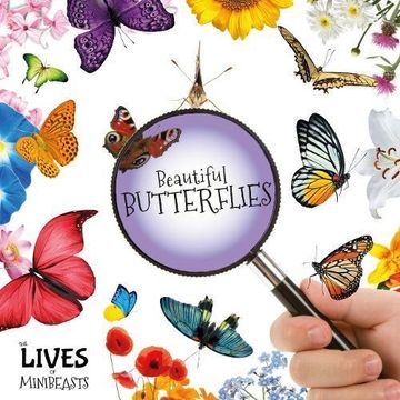 portada Beautiful Butterflies (The Lives of Minibeasts)