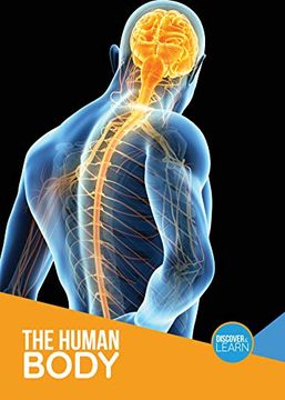 portada The Human Body (Discover and Learn) (in English)