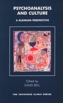 portada psychoanalysis and culture: a kleinian perspective (en Inglés)