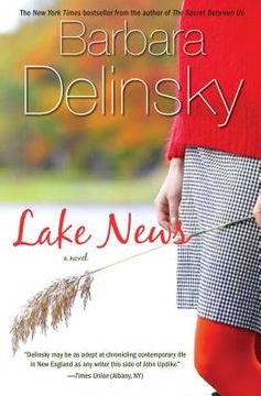 portada lake news,a novel (en Inglés)