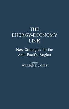 portada The Energy-Economy Link: New Strategies for the Asia-Pacific Region (en Inglés)