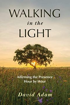 portada Walking in the Light: Affirming the Presence Hour by Hour (en Inglés)