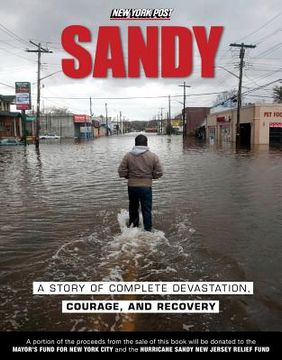 portada Sandy: A Story of Complete Devastation, Courage, and Recovery (en Inglés)